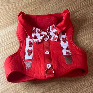 Valentines Day Small dog harness